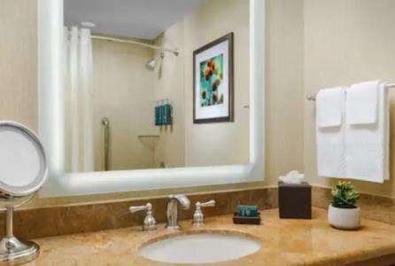 Hilton Phoenix Airport - 60