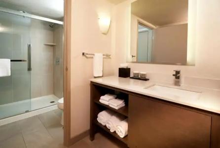 Embassy Suites by Hilton Phoenix Scottsdale - 9