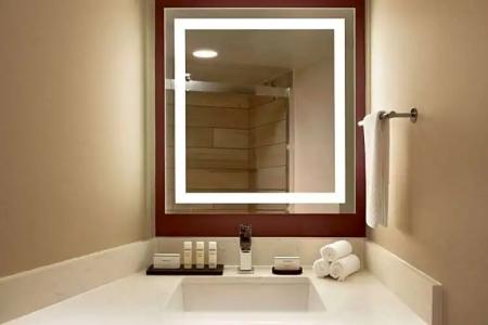 Embassy Suites by Hilton Phoenix Downtown North - 39