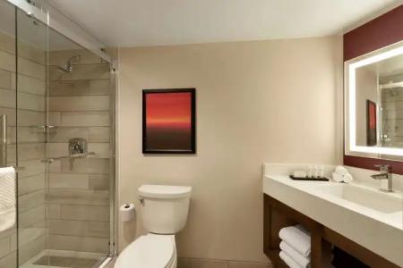 Embassy Suites by Hilton Phoenix Downtown North - 8