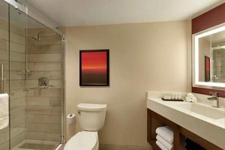 Embassy Suites by Hilton Phoenix Downtown North - 38