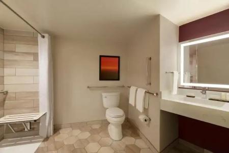 Embassy Suites by Hilton Phoenix Downtown North - 9