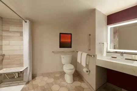 Embassy Suites by Hilton Phoenix Downtown North - 44