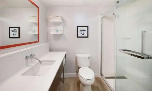 Hampton Inn Phoenix-Airport North - 43