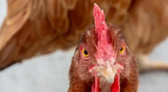 B&B Sotto Le Stelle - 19