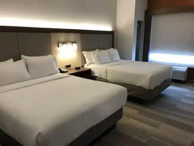 Holiday Inn Express & Suites ORLANDO SOUTH-DAVENPORT by IHG - 2