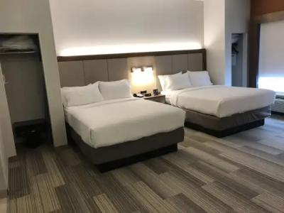 Holiday Inn Express & Suites ORLANDO SOUTH-DAVENPORT by IHG - 3