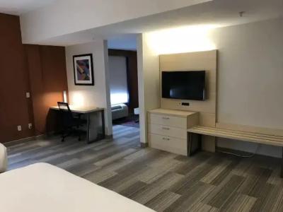 Holiday Inn Express & Suites ORLANDO SOUTH-DAVENPORT by IHG - 4