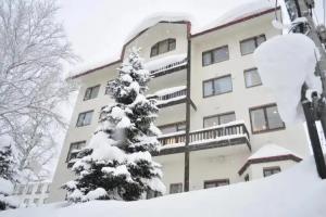 Niseko Park Hotel, Niseko
