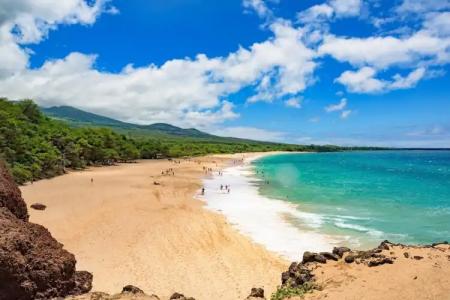 Palms at Wailea Maui - 15