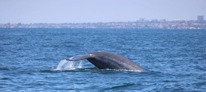 Hyatt Regency Irvine - 37