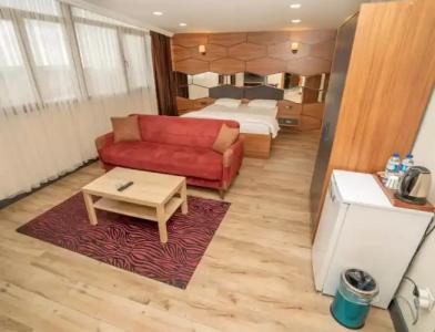 216 Hill Suites - 13