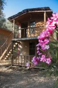 Chakra Beach Kabak - 4