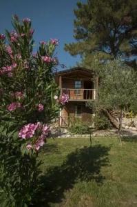 Chakra Beach Kabak - 2