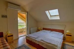 Lila Akc Panzi Esztergom, Esztergom