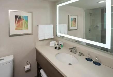 Sheraton Dallas by the Galleria - 24