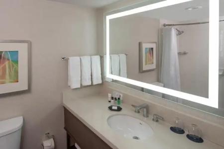 Sheraton Dallas by the Galleria - 46