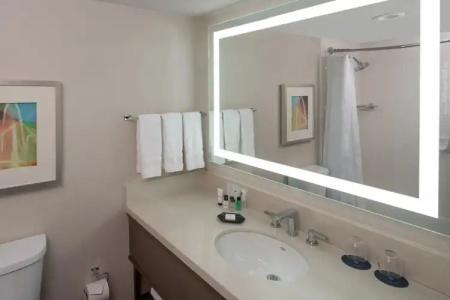 Sheraton Dallas by the Galleria - 25