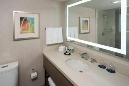 Sheraton Dallas by the Galleria - 43