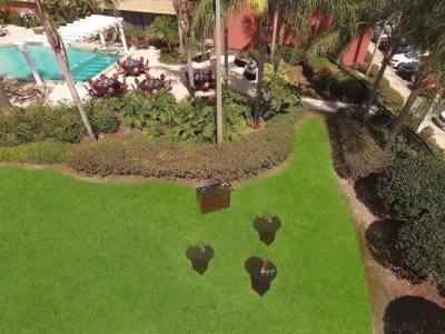 Sheraton Orlando North - 15