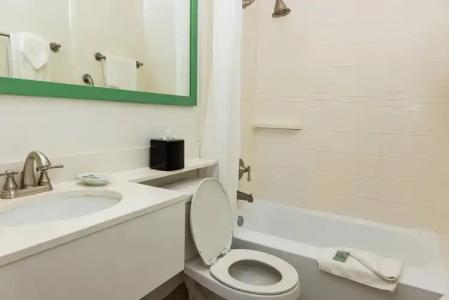 Palm Tree Club Miami - 10