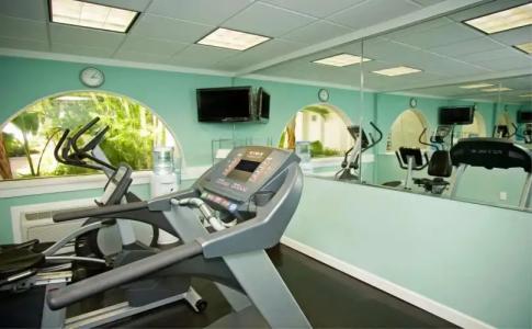 Palm Tree Club Miami - 22