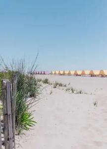 The Beach Club on Madison Avenue - 10