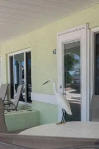 A Beach Retreat - 145