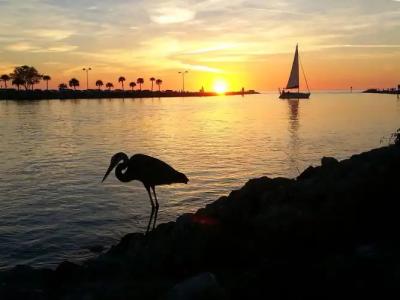 A Beach Retreat - 19