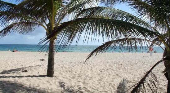 Castle by the Sea - 19