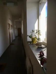 Natalex MicroLofts - 2