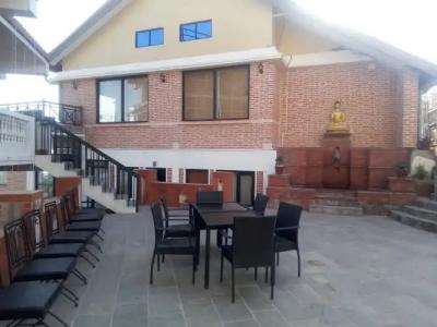 Himalayan Villa - 9