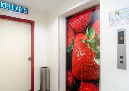 Strawberry Fields - 11