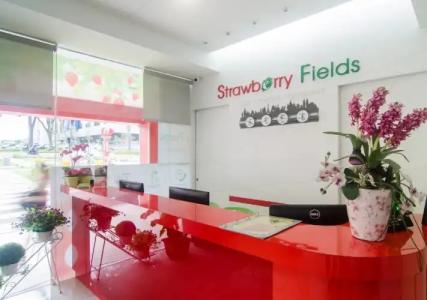 Strawberry Fields - 21