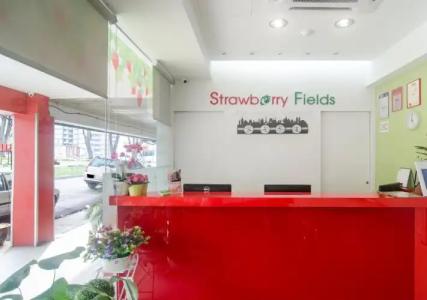 Strawberry Fields - 19