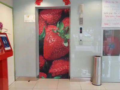 Strawberry Fields - 17