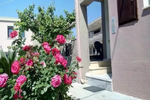 Angela Apartments, Kato Daratso