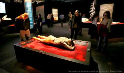 Hilton Los Angeles-Universal City - 31