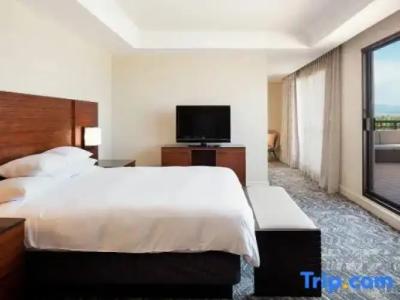 Hilton Waikoloa Village - 304