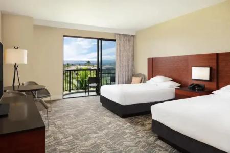 Hilton Waikoloa Village - 204