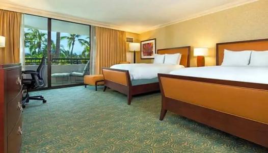 Hilton Waikoloa Village - 245