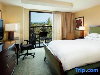 Hilton Waikoloa Village - 238