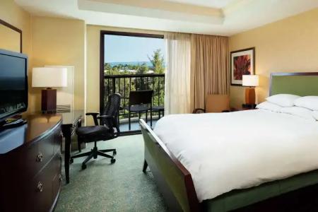 Hilton Waikoloa Village - 60