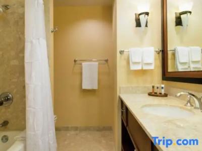 Hilton Waikoloa Village - 241