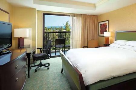 Hilton Waikoloa Village - 121