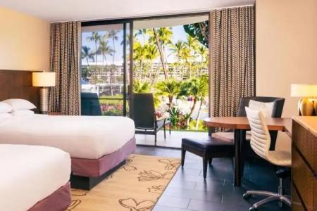 Hilton Waikoloa Village - 131