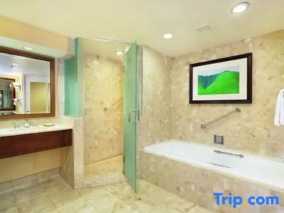 Hilton Waikoloa Village - 247