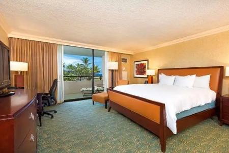 Hilton Waikoloa Village - 119
