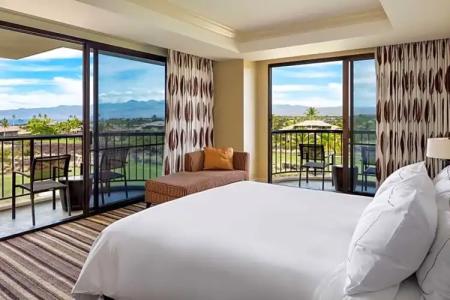 Hilton Waikoloa Village - 251