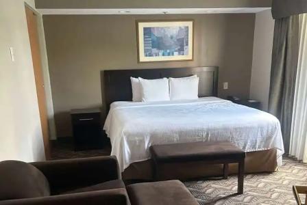 Wyndham Garden Madison Fitchburg - 5